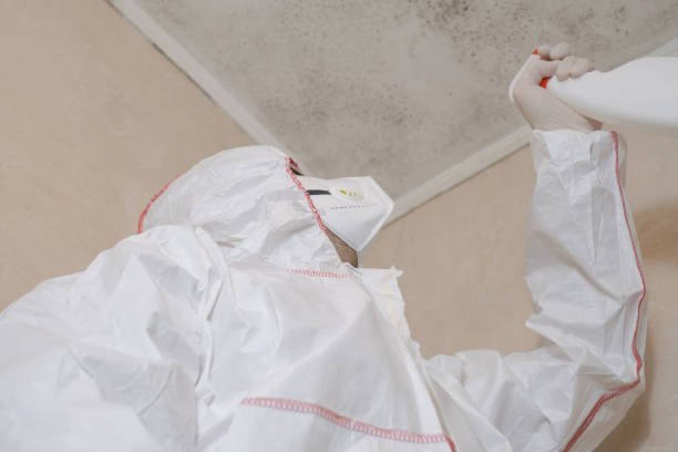 Best Certified Mold Removal  in Westbury, NY